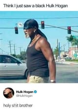 rare-black-hulk-hogan-spotted-1-268x380
