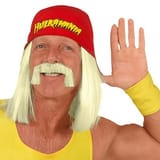 hulk-hogan-wig-and-mustache-set_ss5_p-5167340+u-q2ngdcyjykiycuntxxcu+v-aci2aarwfwjitf6zzy7c