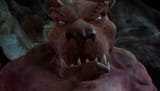 Scrappy_Rex