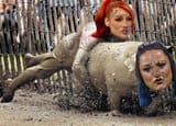 Pig Wrangler