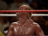 hulkster