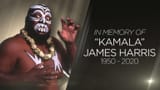 kamala?