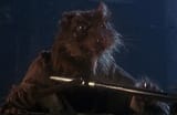 based splinter