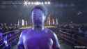 marufuji tanahashi pose_thumb.jpg
