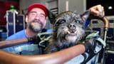 Get to know CM Punk&#039;s dog Larry