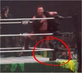 buddy rolls ankle