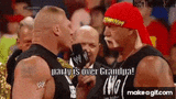hulk-hogan-brock-lesnar (1)