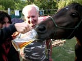 horsebeer