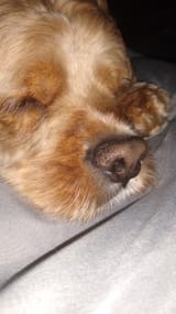 IMG_20220928_130800692