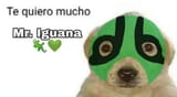 abelthedogAAA