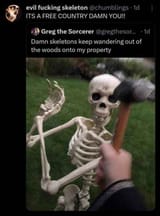 FB_IMG_1729810466206