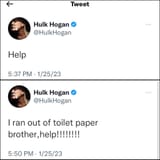 hogan needs help