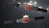 PW Tag Belts