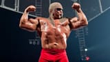 Scott_Steiner_bio