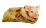 Pig-in-a-poke