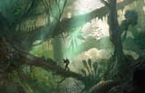 Jungle - no place like home