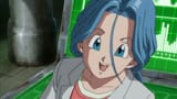 Bulma