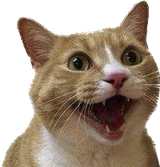 CATO