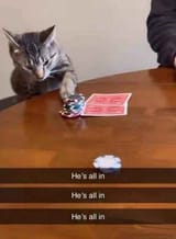 FB_IMG_1724817362352