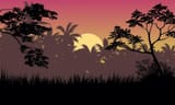 Dis Tropical Sunset