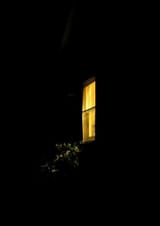 IMG_3324