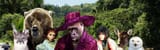 gorilla_pimp_by_rick7777_d640cuv-fullview