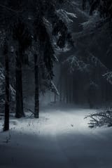 8e8e5dfe29c6bf1690786bb9cfdf2318