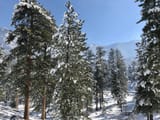 IMG_3046