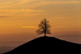 sunset hill