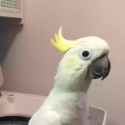 taking the bait bird_thumb.jpg