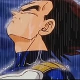 Vegeta rain