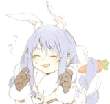 sample_d299326455d88c7c814e5dd4f5f600da