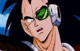 Raditz worried