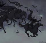 wildhunt