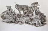 wolves