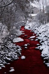 RIVERSOFBLOOD