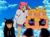psykid, auroara, prima, and aura