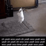bunny bounce oh yeah woo