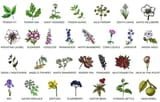 poisongarden