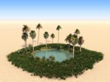 Oasis