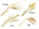 grains