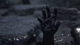 TAR