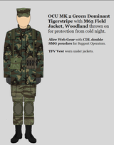 TFV Operators, Greenland Improvisation Options 2