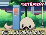 bumper_tamounda