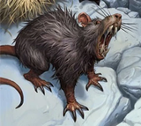 giantrat