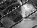 gettyimages-157316750-612x612