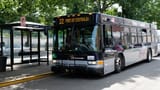 buses kinda suck