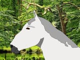 Wittekind the talking horse