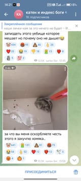Thread 6269723 OP Image