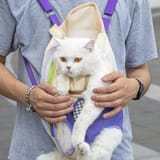 Cat_Carrier_Front_Pack_Sling_Bag_8_Color_Backpack_5